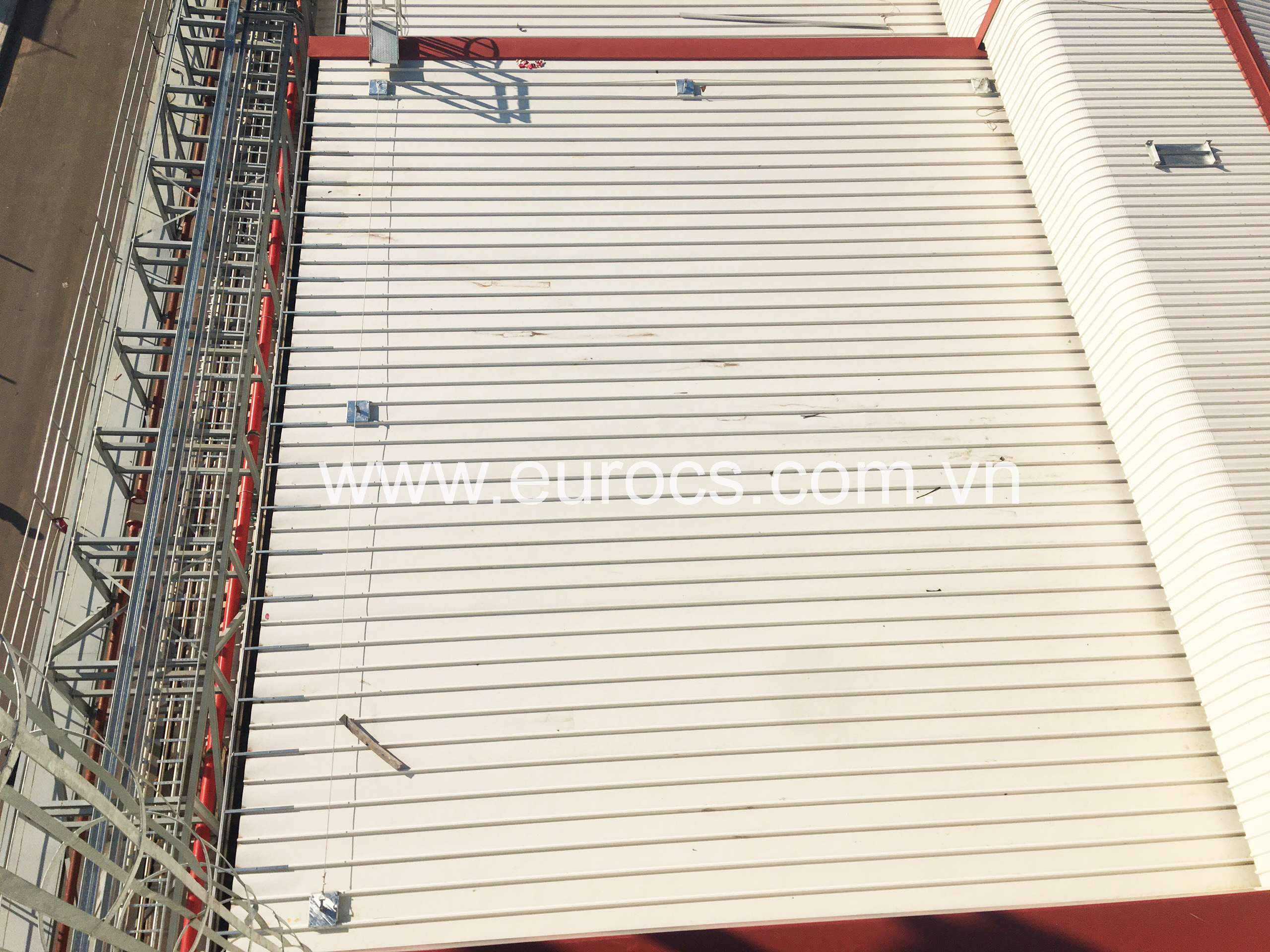 Project: ILD Coffee Plant