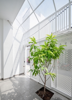 Nhà trong hẻm kết hợp 3 giải pháp lấy sáng